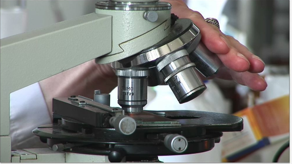 蠕墨鑄鐵金相組織分析