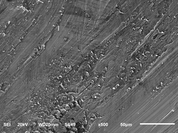 斷口A區摩擦形貌 